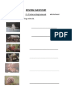 Worksheet2 Converted 3 PDF