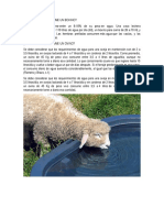 Caracterización de Los Parámetros Biométricos en Llamas
