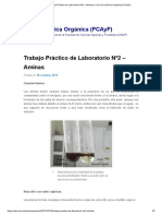 Trabajo Práctico de Laboratorio Nº2 - Aminas - Curso de Química Orgánica (FCAyF) PDF
