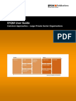 EFQM User Guide_LargePrivate.pdf