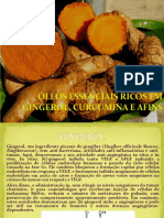 18 - Gingerol, Curcumina e Relacionados PDF