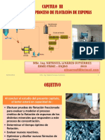 Capitulo-III-CINETICA-DEL-PROCESO-DE-FLOTACION-DE-MINERALES.pdf
