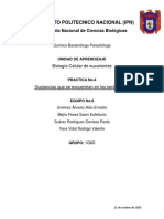 Practica 4 - Primera Parte Del Informe