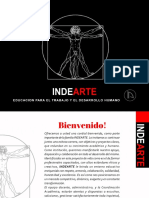 P.institucional Grafico