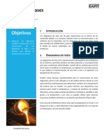 Practica 10 - Diagramas de Fases PDF