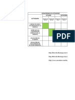 Cronograma de Actividades Virtual