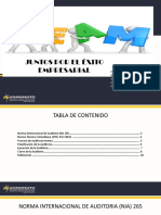 Auditoria Control Interno 2