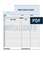 Formato Charlas de Seguridad PDF