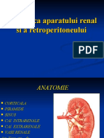 10 Imagistica Aparatului Renal R