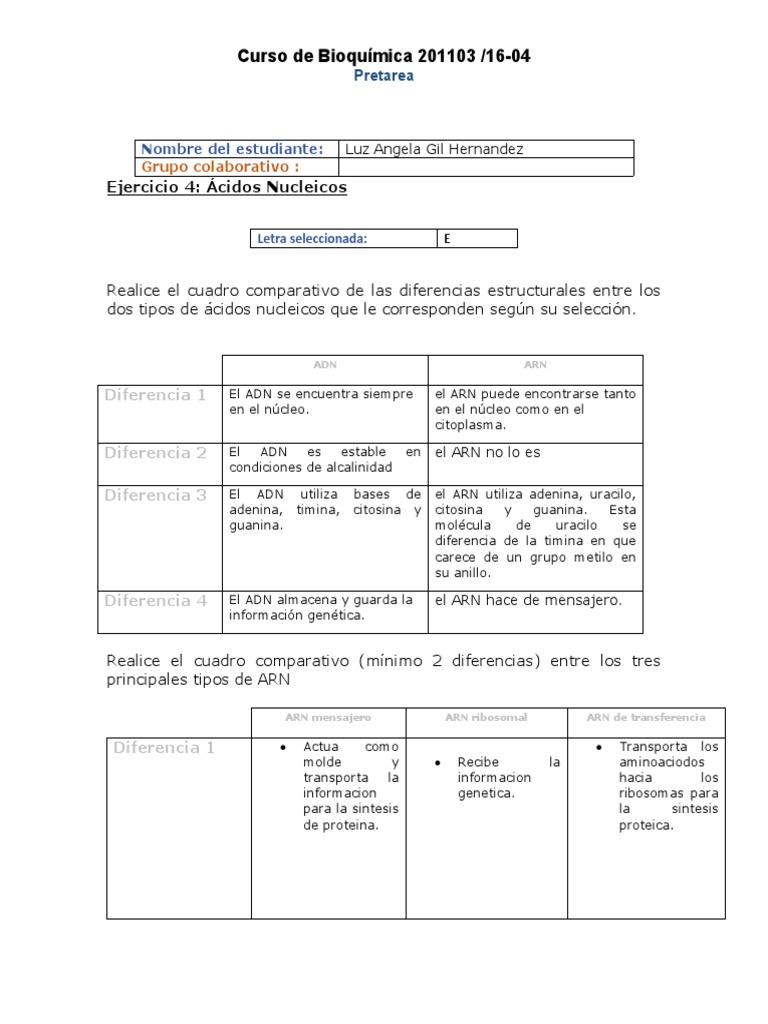 Formato Tarea 1 Ejercicio 4 Pdf Rna Adn