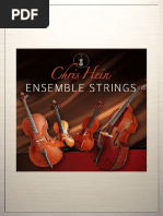 Chris Hein-Ensemble Strings Manual EN PDF