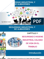 Capitulo 1 Seguridad e Higiene Industrial PDF