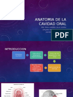 ANATOMIA DE LA CAVIDAD ORAL.pdf