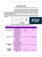 Inseminacion Aritificilal