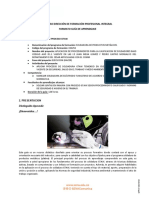 Guias de Aprendizaje Del Proceso GTAW PDF