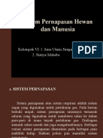 Sistem Pernapasan Hewan Dan Manusia