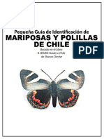 Mariposas de Chile1