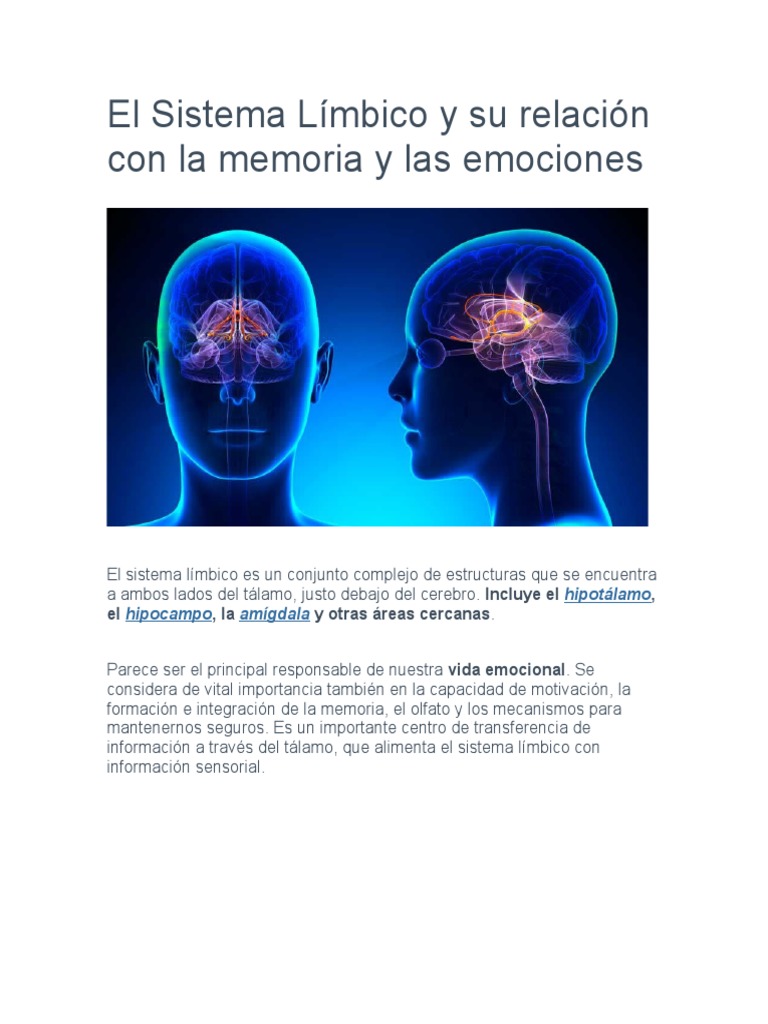 El Sistema Límbico y Su Relación Con La Memoria y Las Emociones | PDF ...