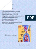 Key Points of The Respiratory System:: Information Furnished by Rainbow Educational Media