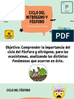 Ciclo Del Nitrógeno y Fósforo PDF
