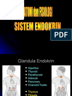 Anfis Endokrin