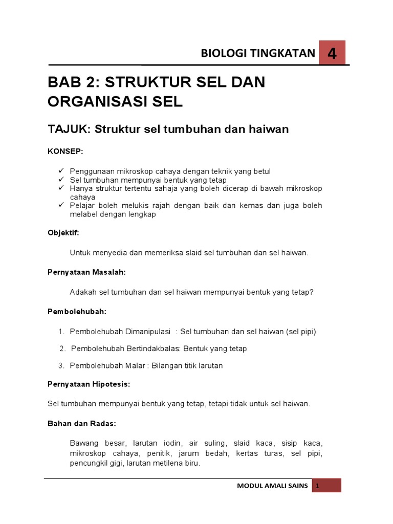Ejercicio De 2 1 3 4 Perbezaan Sel Haiwan Dan Sel Tumbuhan