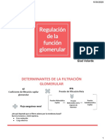 Regulación de La Función Glomerular PDF