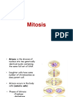 Powerpoint - Mitosis
