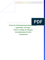 Projet-du-Développement-Rural-intégré-Dans-le-Village-de-Mengon.pdf
