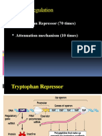 Gene Expression Explanation