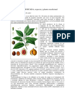 NUEZ MOSCADA, Especia y Planta Medicinal