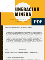 Remuneracion Minera