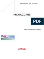 protozoare_-_handout_3.pdf