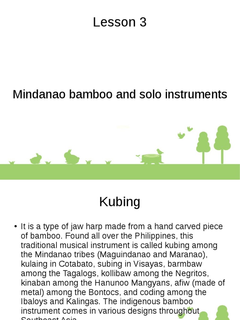 Lesson 3 Mindanao Bamboo and Solo Instruments PDF Chordophones
