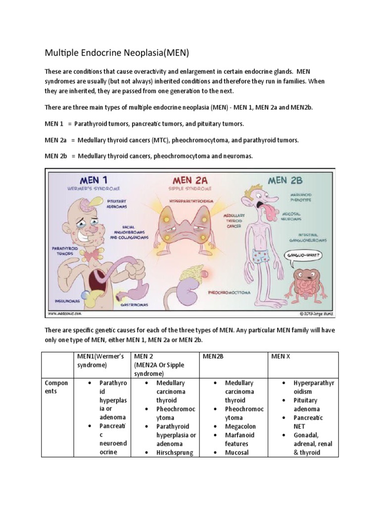 Multiple Endocrine Neoplasia PDF Neoplasms Organ (Anatomy)