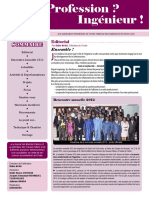 Génie Civil Et Infrastructures: Dossier, PDF, Pont