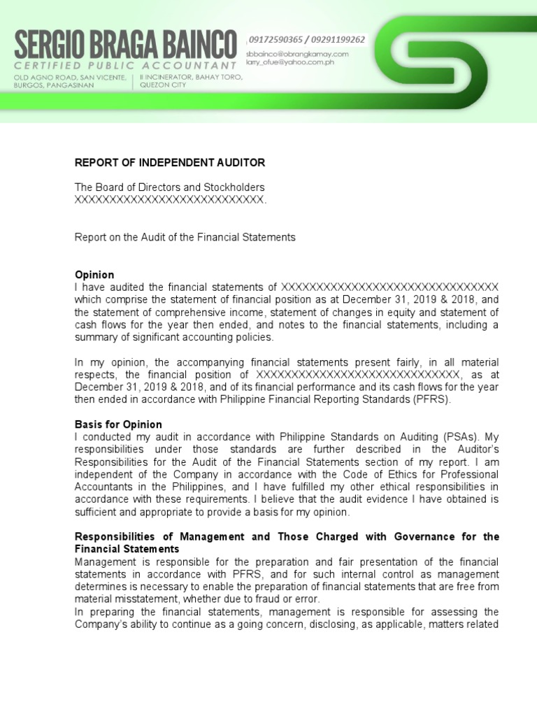 Report of Independent Auditor | PDF | Going Concern | Audit