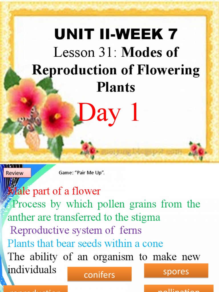Unit IiWeek 7 Lesson 31 Modes Of Reproduction of Flowering Plants