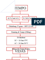 Tempo Dan Vidas