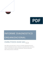 Diagnostico Organizacional Embutidos Kian