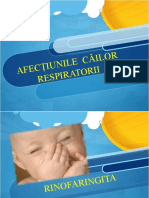 Afectiunile cailor respiratorii 1