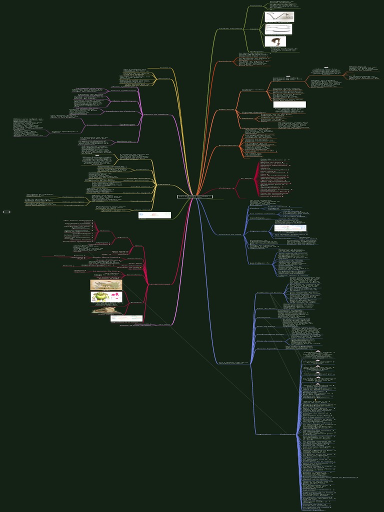 Movie Mind Map | PDF | Lion