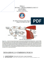 Clase Ii Anatomia y Fisiologia Del SN DR Santos Puac Repaso General