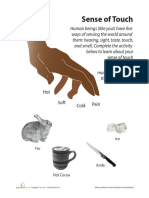 5 Senses Touch Matching PDF