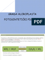 Građa Hloroplasta Fotosintetički Pigmenti