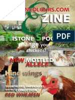 E Zine Chickencolours 1 PDF