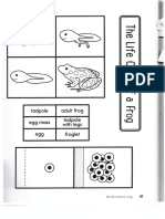 Cycle of Frog