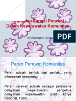 Peran dan Fungsi Perawat Komunitas