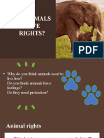 Do Animals Have Rights