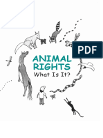 Animal Rights: What Is It?